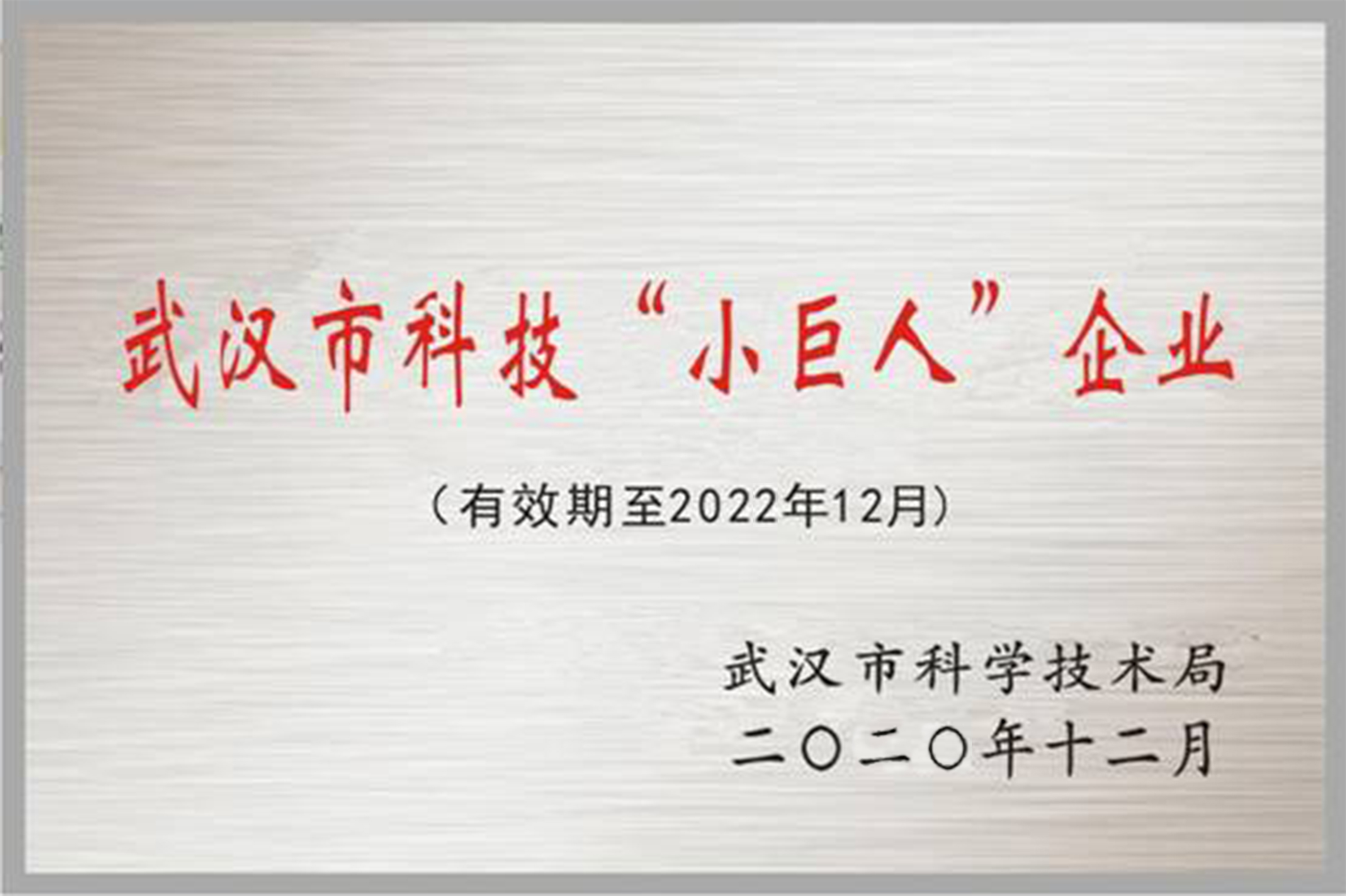 武汉市科技小巨人企业 武汉市科技小巨人企业